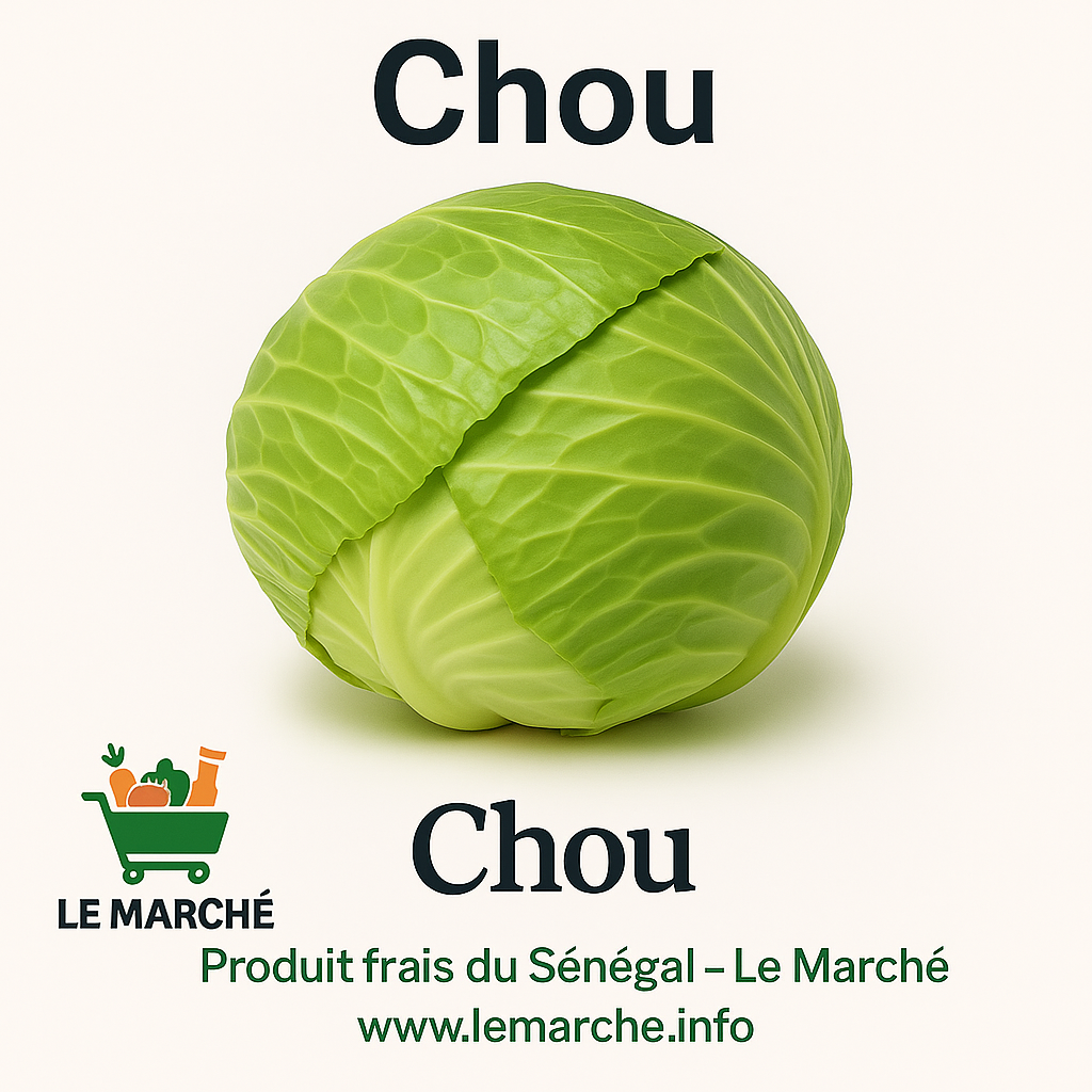Chou 🥬