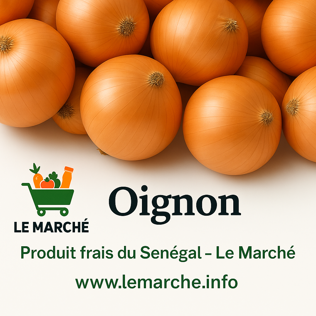 Oignon🧅