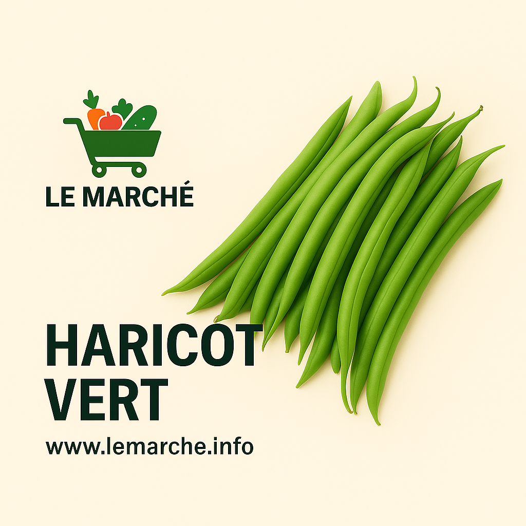 🫛 haricot vert