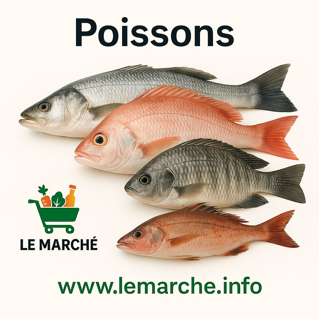 Poissons  🐟