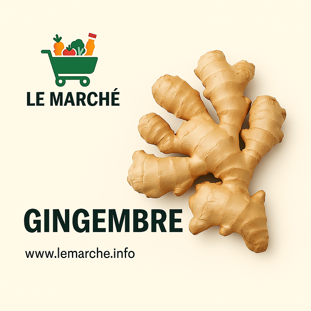 Gingembre