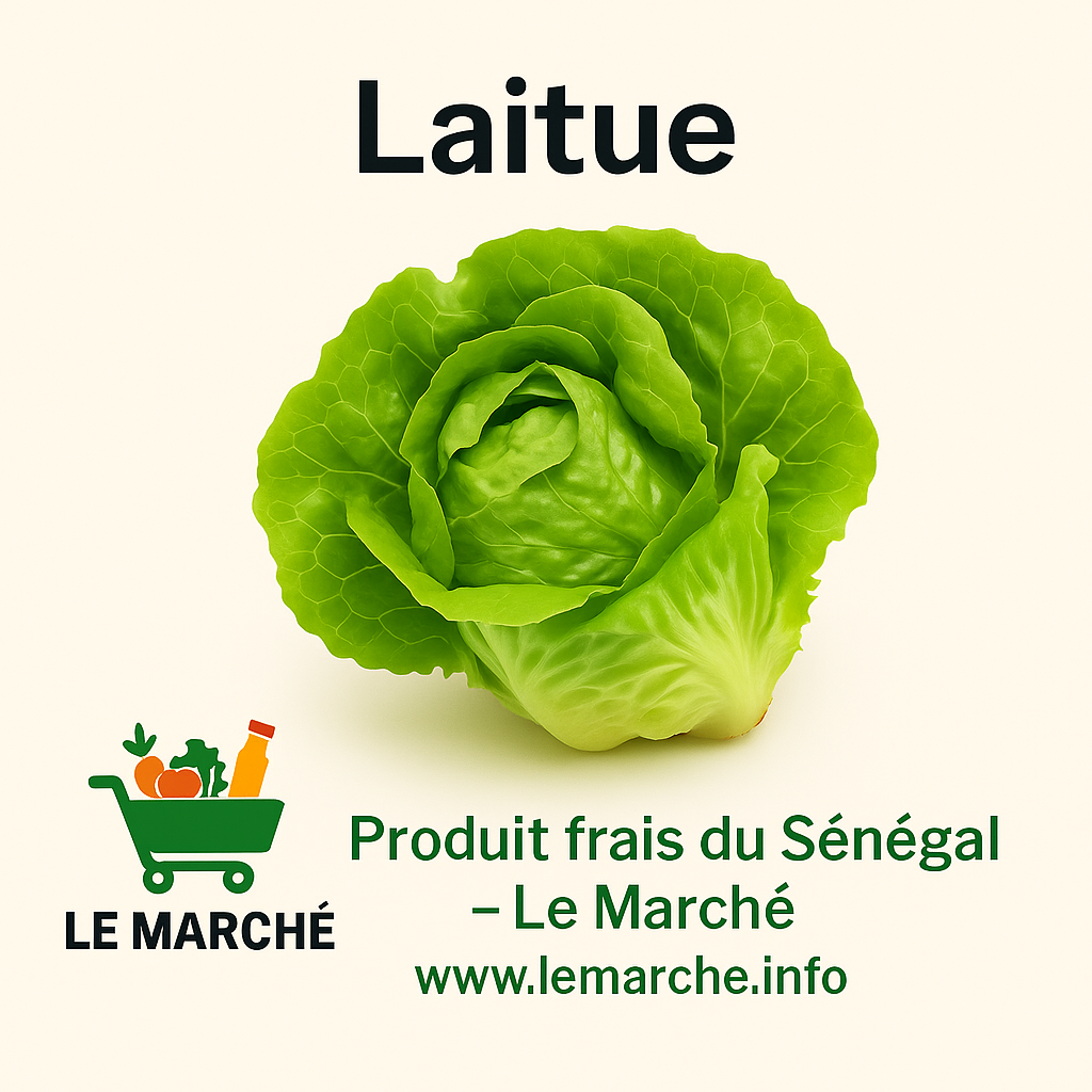 Laitue🥬