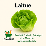 Laitue🥬