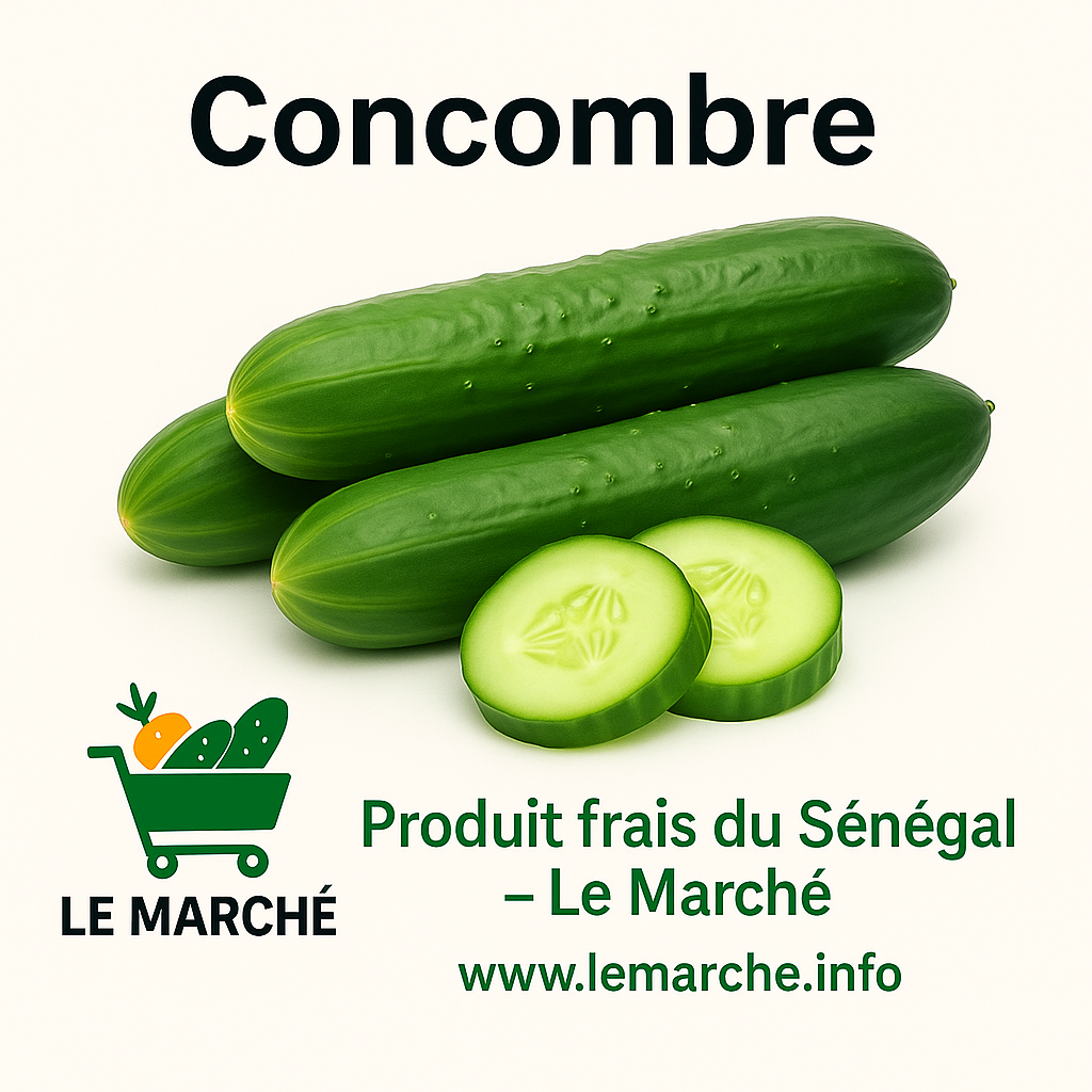 Concombre 🥒